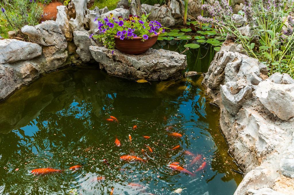 Apartments Sime Sukošan Dış mekan fotoğraf